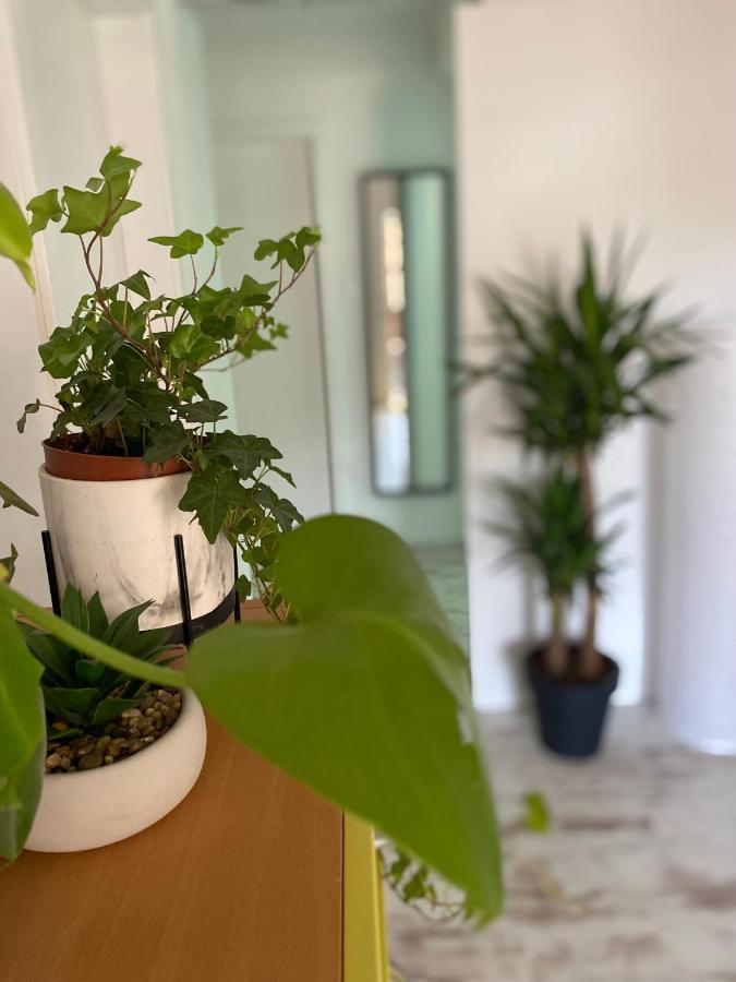 Hisa Megiclinic - Apartments & Healing Center Кобарид Екстериор снимка