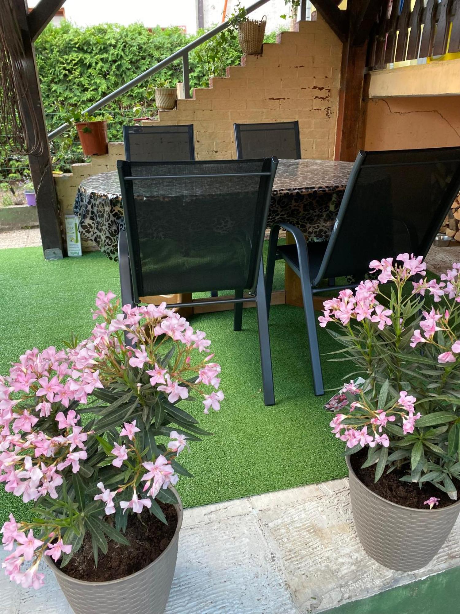 Hisa Megiclinic - Apartments & Healing Center Кобарид Екстериор снимка