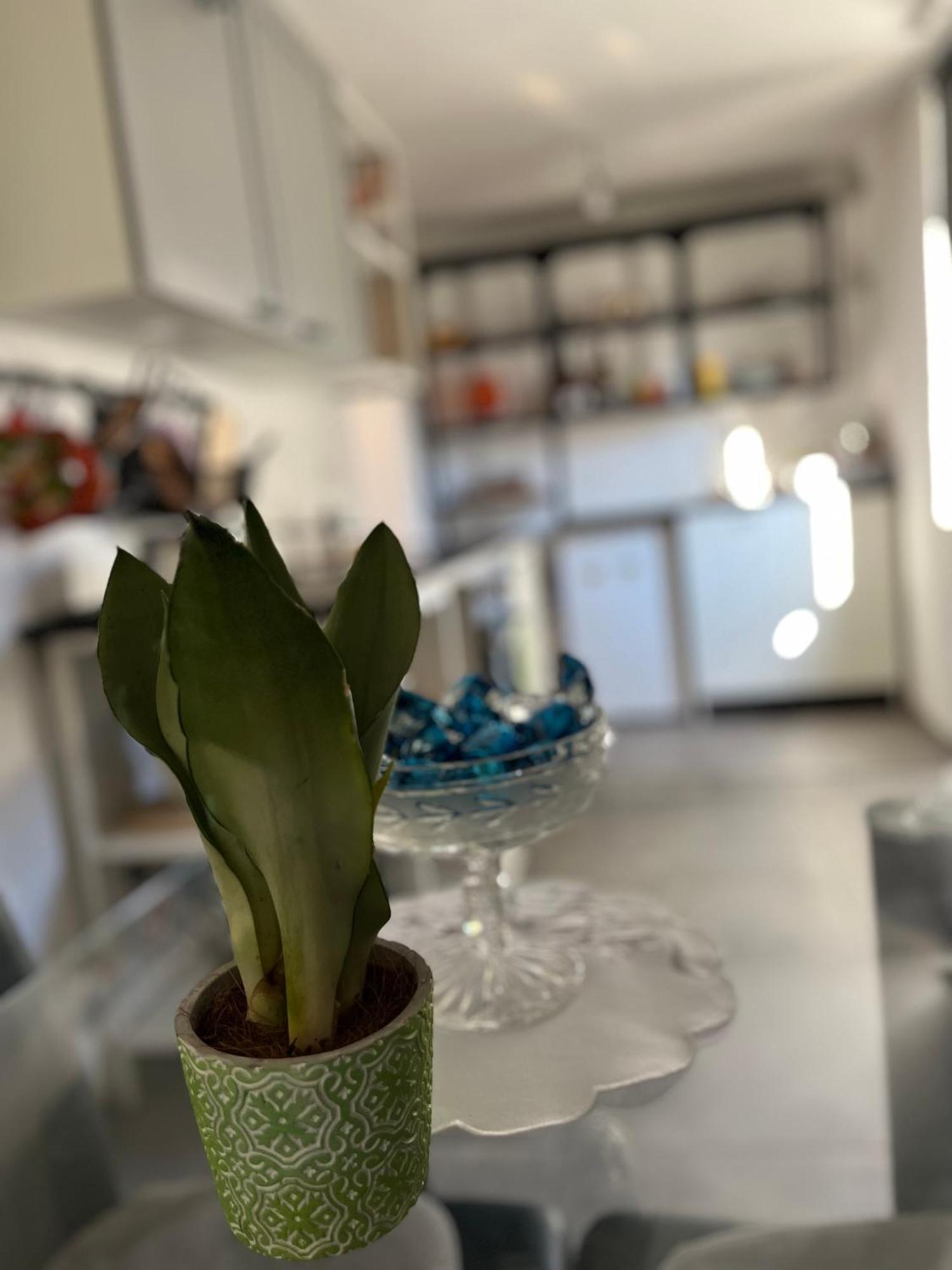 Hisa Megiclinic - Apartments & Healing Center Кобарид Екстериор снимка